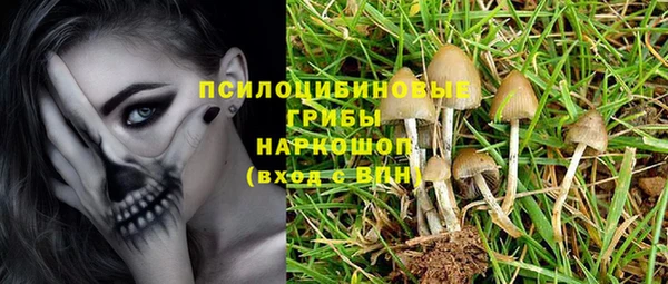 стафф Вяземский