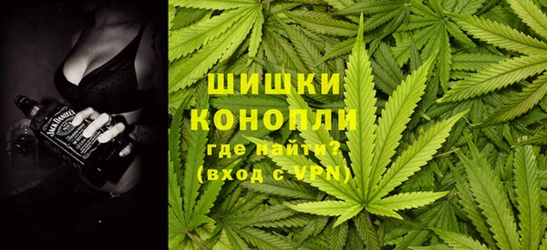 стафф Вяземский