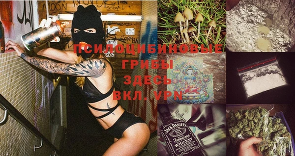 стафф Вяземский
