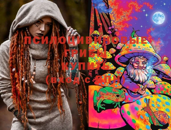 крисы Вязники