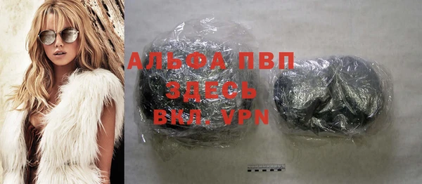 стафф Вяземский